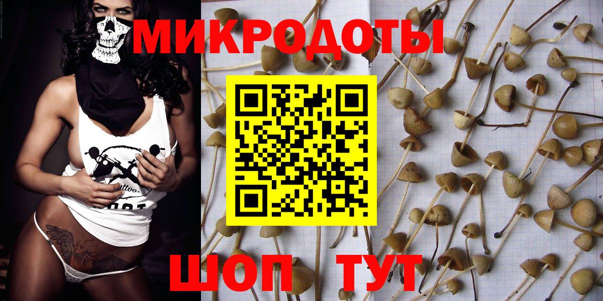 Радужный  Галлюциногенные грибы ЛСД  Вход с VPN  Псилоцибиновые грибы Psilocybine cubensis 